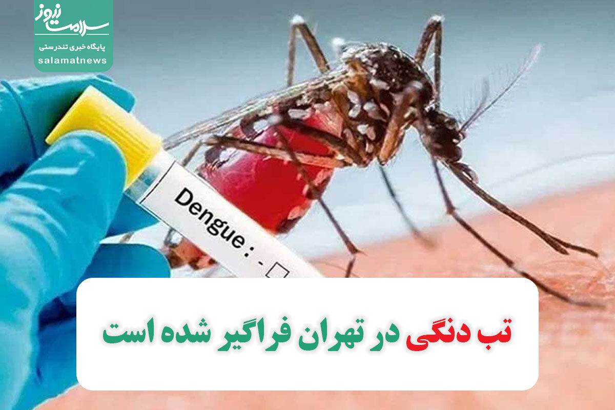تب دنگی در تهران فراگیر شده است تب دنگی در تهران فراگیر شده است
