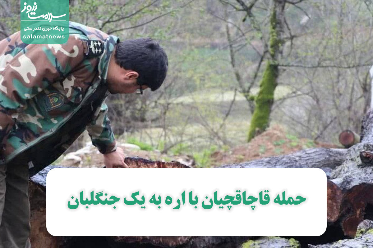 حمله قاچاقچیان با اره به یک جنگلبان حمله قاچاقچیان با اره به یک جنگلبان