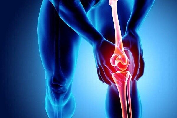 چه موادغذایی بخوریم تا دچار تعویض مفصل زانو نشویم؟ چه موادغذایی بخوریم تا دچار تعویض مفصل زانو نشویم؟