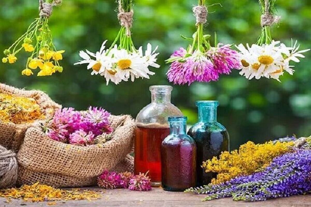 تصویب ۲۲۹۰ نام برای فرآوردههای طبیعی، سنتی و مکمل تصویب ۲۲۹۰ نام برای فرآوردههای طبیعی، سنتی و مکمل