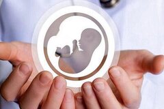امضای قرارداد همکاری بیمه سلامت و مرکز ناباروری رویان