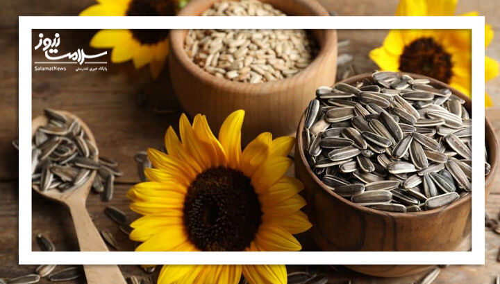 هر 100 گرم تخمه چقدر کالری دارد؟ هر 100 گرم تخمه چقدر کالری دارد؟
