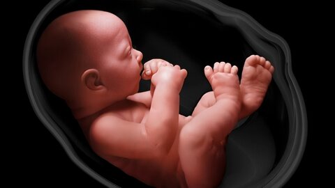 مهم‌ترین راهکارهای حفظ سلامت مادر و جنین در برابر عفونت‌های ویروسی