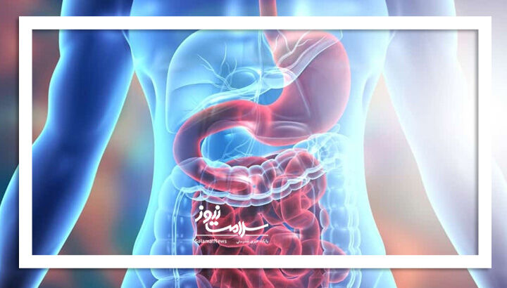 10 مطلب خواندنی جذاب درباره دستگاه گوارش انسان 10 مطلب خواندنی جذاب درباره دستگاه گوارش انسان