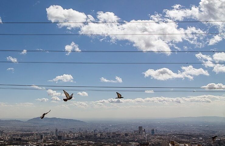 جو آرام در اغلب مناطق کشور