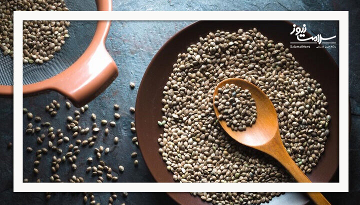 گام به سوی توسعه کشت شاهدانه برای تولید فرآوردههای طبیعی گام به سوی توسعه کشت شاهدانه برای تولید فرآوردههای طبیعی