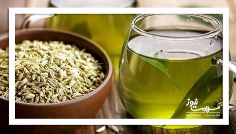 ۳ گیاه آرام‌بخشِ معده