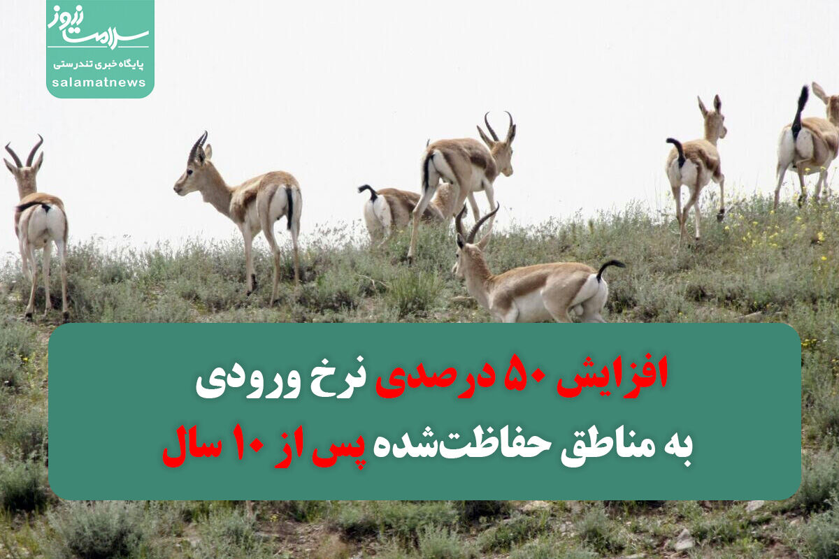 افزایش 50 درصدی نرخ ورودی به مناطق حفاظتشده پس از 10 سال افزایش 50 درصدی نرخ ورودی به مناطق حفاظتشده پس از 10 سال