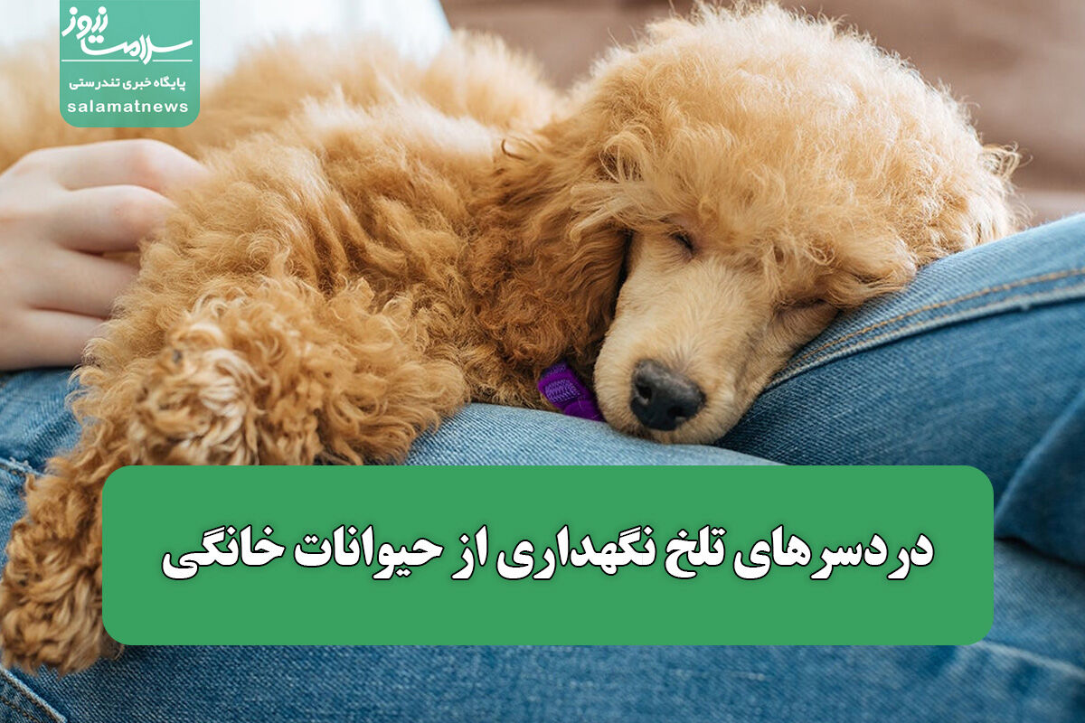 دردسرهای تلخ نگهداری از حیوانات خانگی دردسرهای تلخ نگهداری از حیوانات خانگی