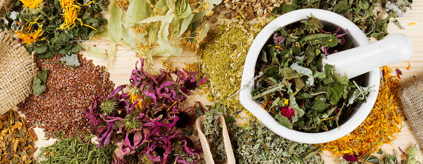 استاد طب ایرانی: درمان سرماخوردگی با روشهای ساده و مؤثر استاد طب ایرانی: درمان سرماخوردگی با روشهای ساده و مؤثر