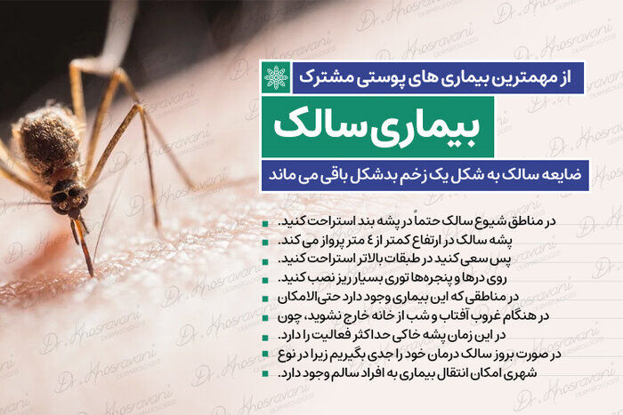 کاهش چشمگیر سالک در ایران: ۸۵ درصد موارد ناشی از موشهای صحرایی است