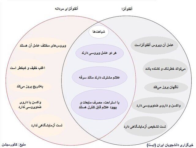 آنفلوآنزای مردانه: واقعیت یا افسانه؟ بررسی علل و تفاوتهای جنسیتی در بروز بیماریهای تنفسی"