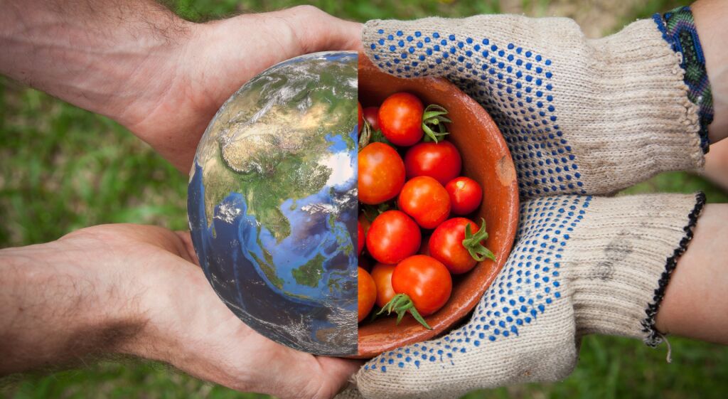 حق غذایی برای همگان: مدیرکل غذا و دارو بر ضرورت دسترسی به تغذیه سالم تأکید کرد حق غذایی برای همگان: مدیرکل غذا و دارو بر ضرورت دسترسی به تغذیه سالم تأکید کرد