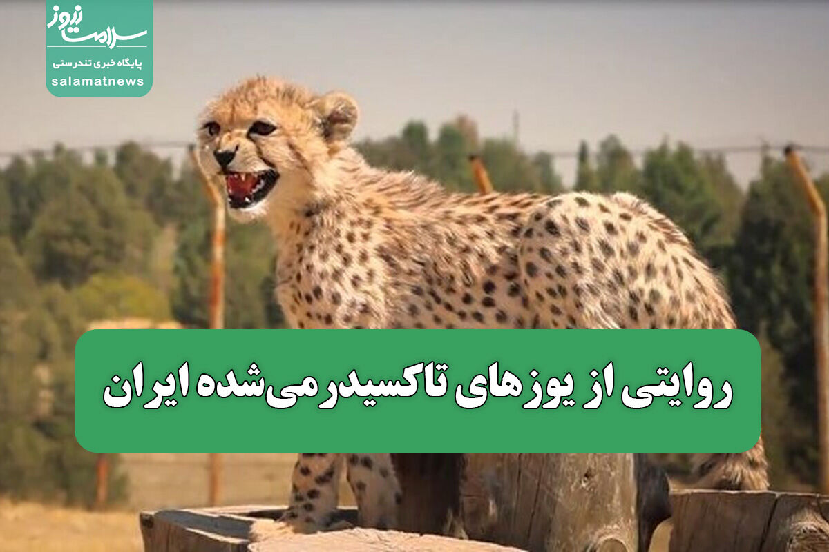 روایتی از یوزهای تاکسیدرمیشده ایران
