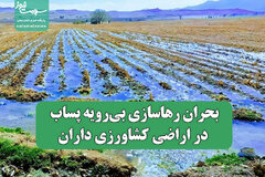 بحران رهاسازی بی‌رویه پساب در اراضی کشاورزی داران