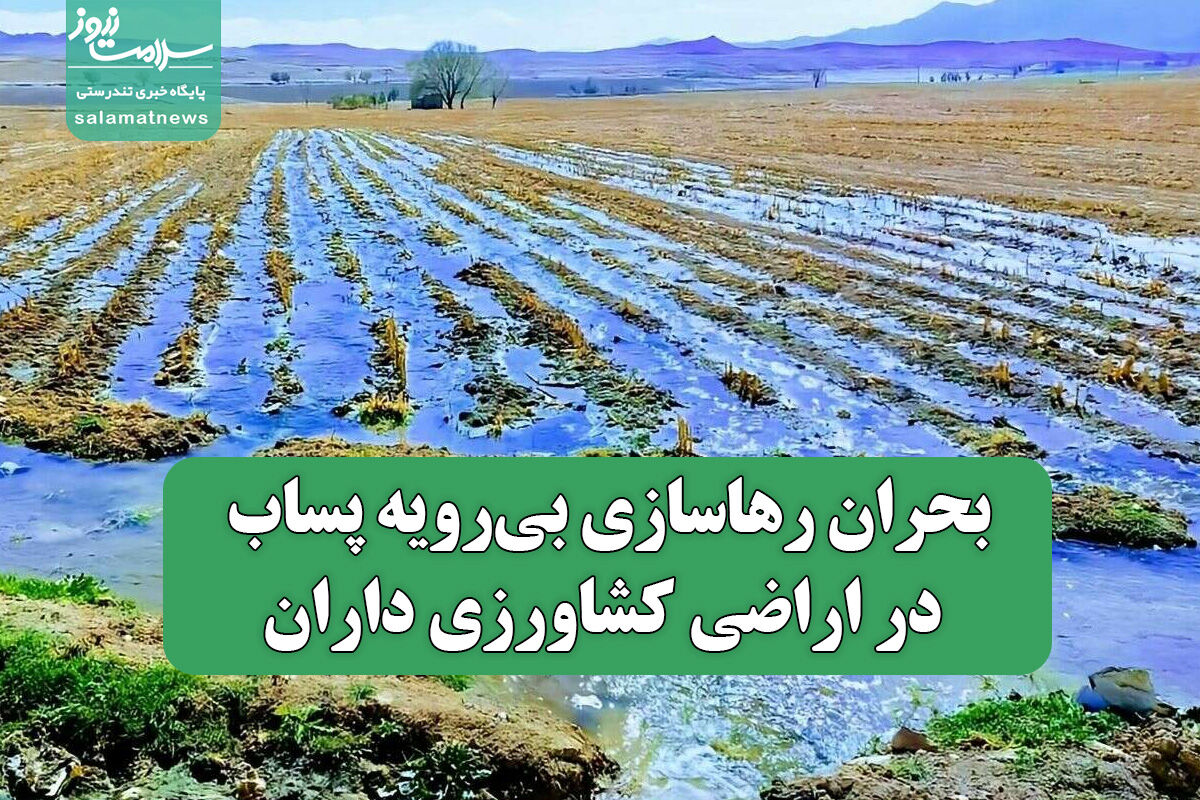 بحران رهاسازی بی‌رویه پساب در اراضی کشاورزی داران