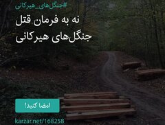 شرکت چوب وکاغذ مازندران : منظور طلب مالی بود نه برداشت چوب جنگلی !