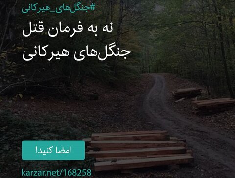 شرکت چوب وکاغذ مازندران : منظور طلب مالی بود نه برداشت چوب جنگلی !