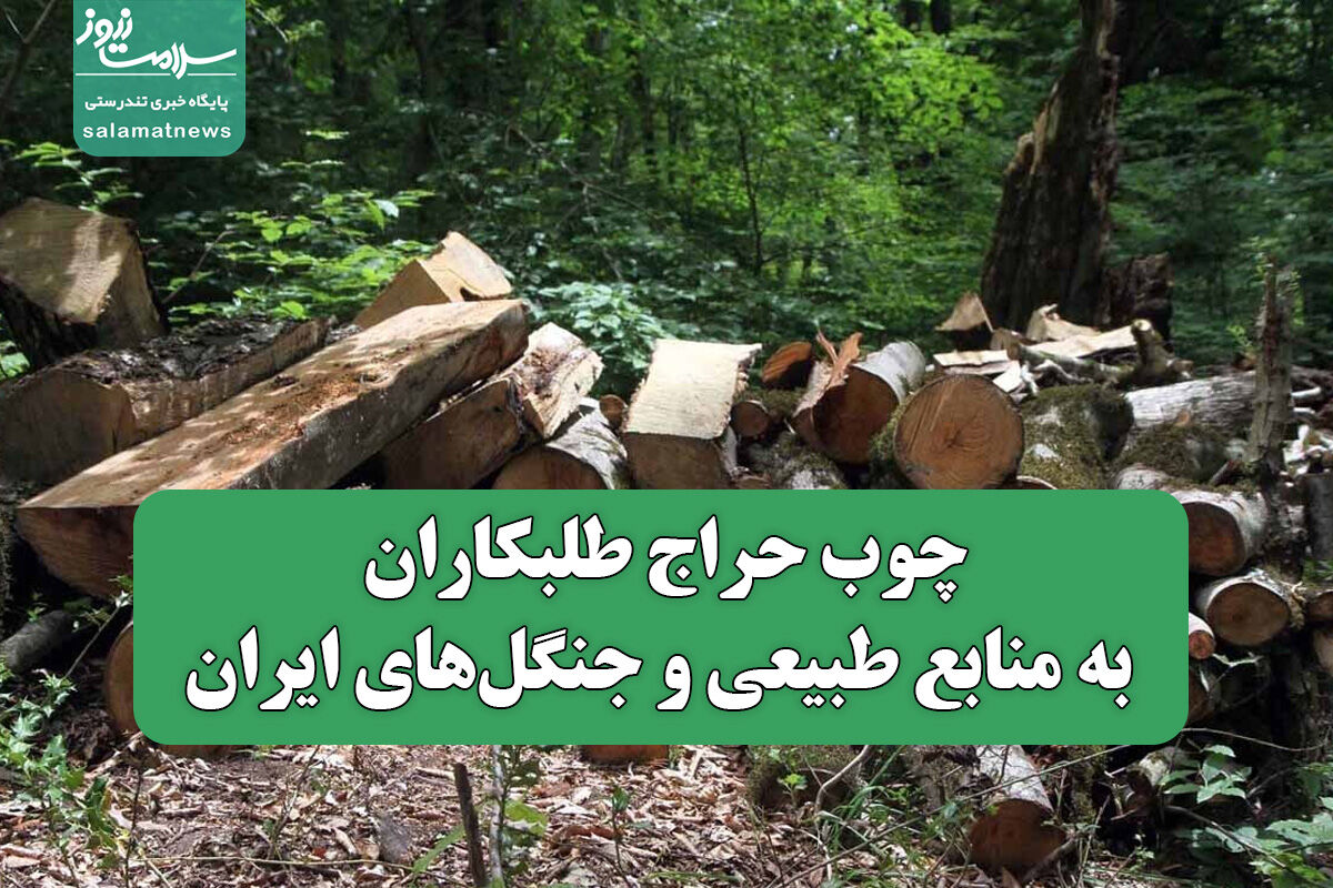 چوب حراج طلبکاران به منابع طبیعی و جنگل‌های ایران