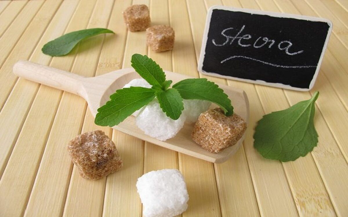 دیابتیها، با خیال راحت استویا را بهجای قند مصرف کنند دیابتیها، با خیال راحت استویا را بهجای قند مصرف کنند