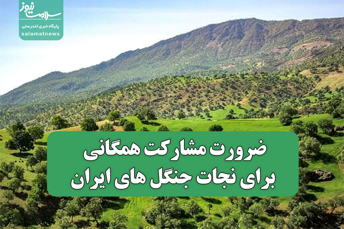 ضرورت مشارکت همگانی برای نجات جنگل های ایران ضرورت مشارکت همگانی برای نجات جنگل های ایران