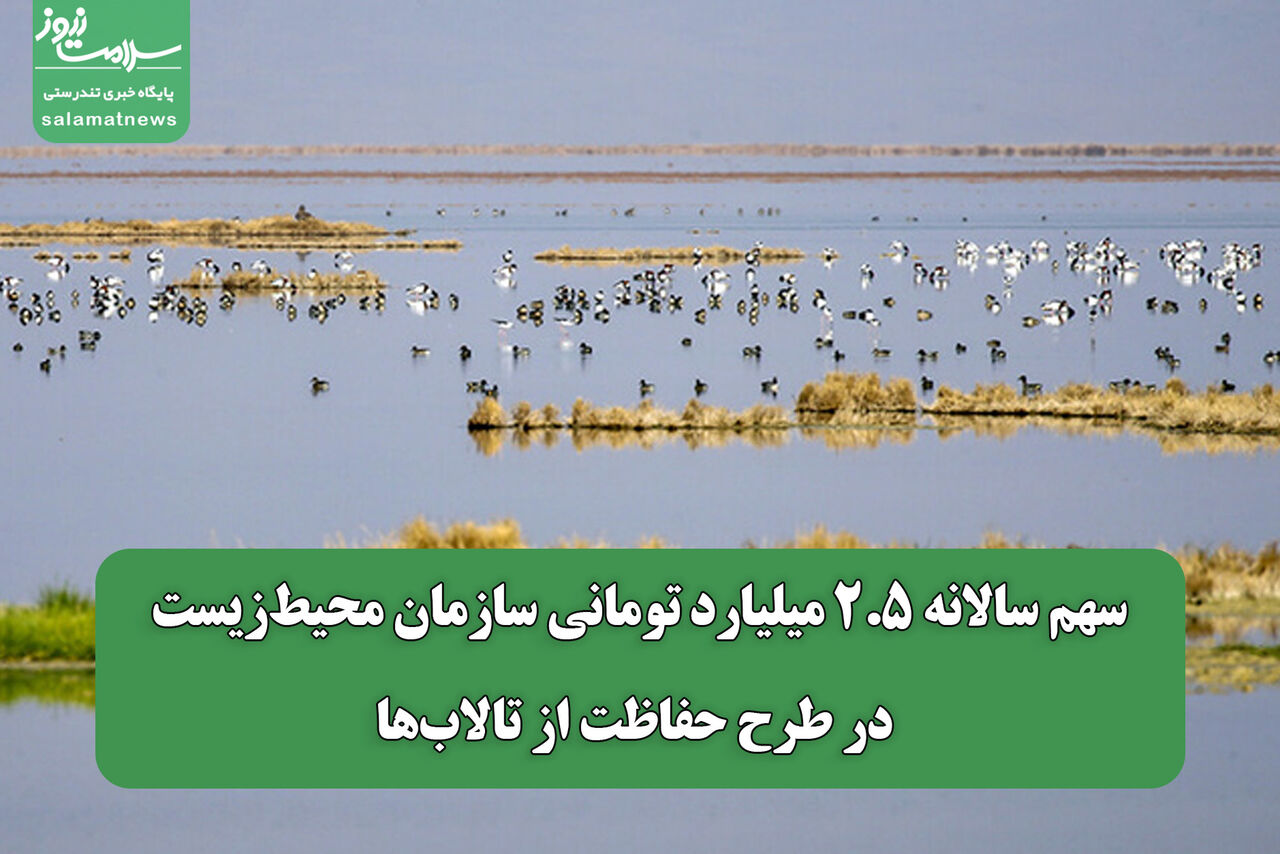 سهم سالانه ۲.۵ میلیارد تومانی سازمان محیطزیست در طرح حفاظت از تالابها سهم سالانه ۲.۵ میلیارد تومانی سازمان محیطزیست در طرح حفاظت از تالابها