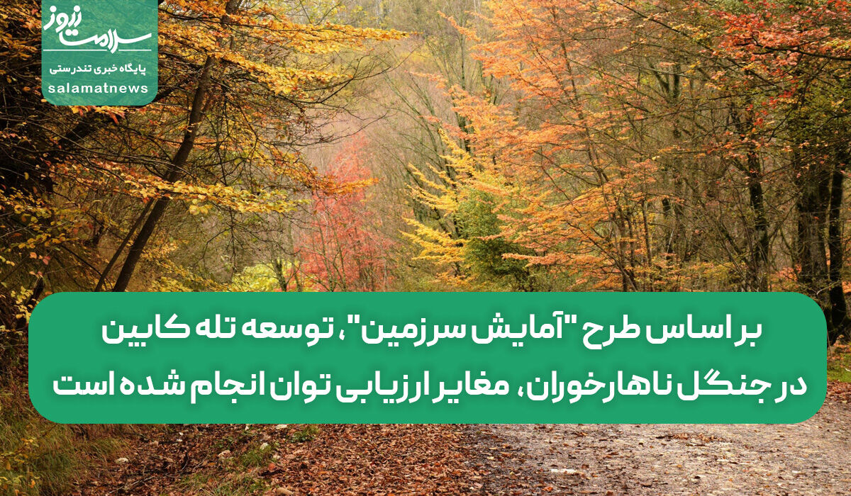 بر اساس طرح "آمایش سرزمین"، توسعه تله کابین در جنگل ناهارخوران، مغایر ارزیابی توان انجام شده است بر اساس طرح "آمایش سرزمین"، توسعه تله کابین در جنگل ناهارخوران، مغایر ارزیابی توان انجام شده است