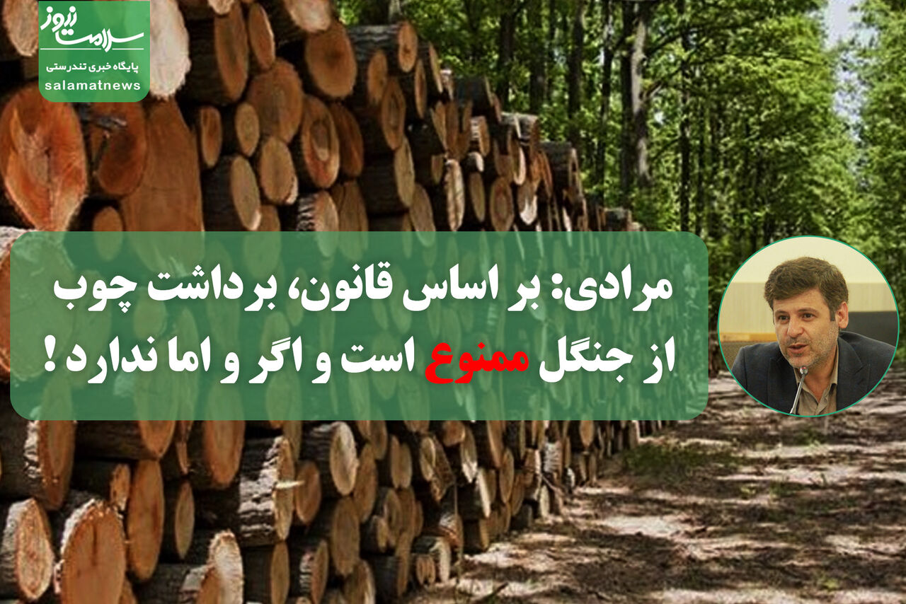 مرادی: بر اساس قانون، برداشت چوب از جنگل ممنوع است و اگر و اما ندارد ! مرادی: بر اساس قانون، برداشت چوب از جنگل ممنوع است و اگر و اما ندارد !