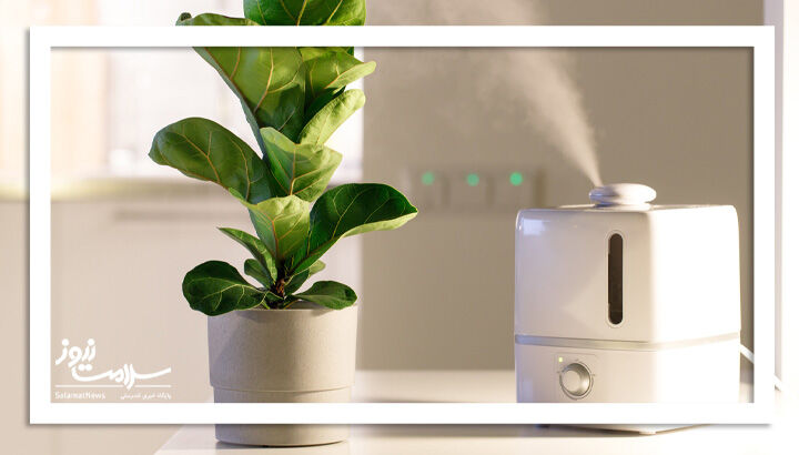 آیا مرطوب کننده هوا برای سلامت پوست خوب است؟ آیا مرطوب کننده هوا برای سلامت پوست خوب است؟