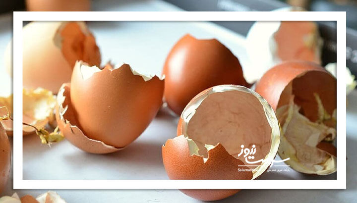 پوسته تخممرغ؛ ارزانترین و مؤثرترین مکمل طبیعی کلسیم پوسته تخممرغ؛ ارزانترین و مؤثرترین مکمل طبیعی کلسیم