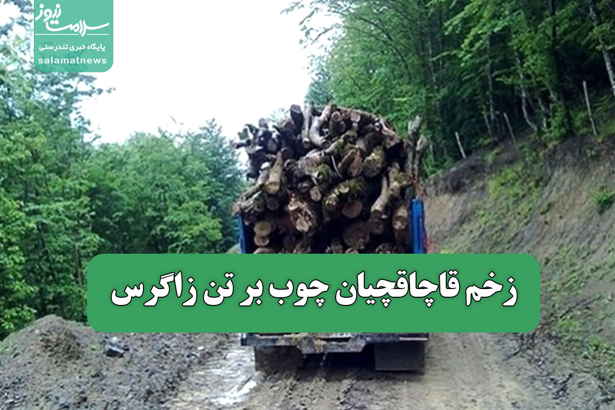 زخم قاچاقچیان چوب بر تن زاگرس زخم قاچاقچیان چوب بر تن زاگرس