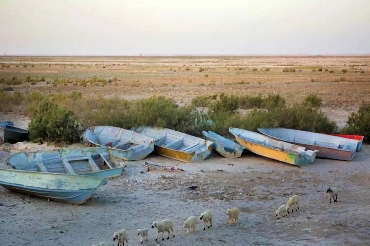 بحران زیستی، اجتماعی و اقتصادی نتیجه مسیر کنونی مدیریت منابع آبی / تاکید بر تخصیص حقابه تالاب ها بحران زیستی، اجتماعی و اقتصادی نتیجه مسیر کنونی مدیریت منابع آبی / تاکید بر تخصیص حقابه تالاب ها