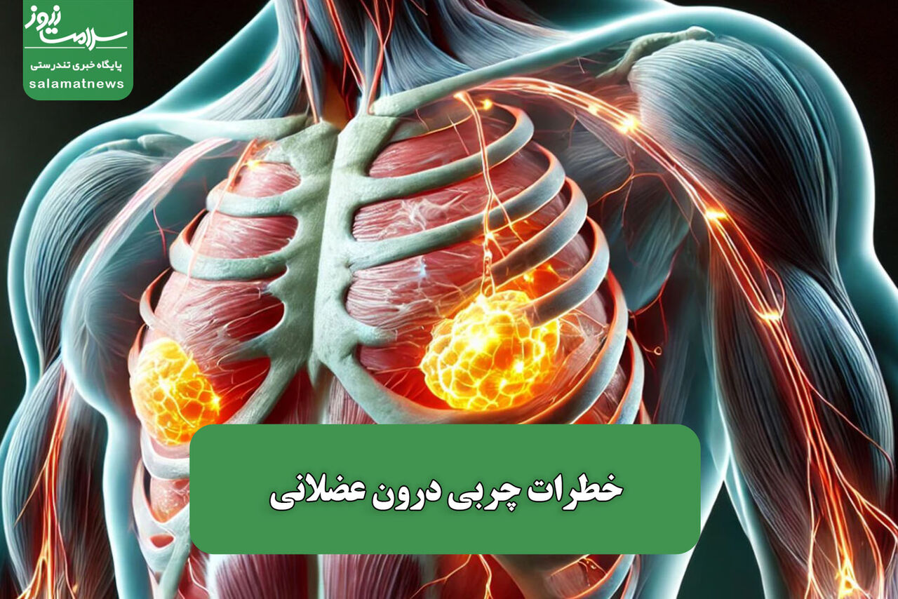 خطرات چربی درون عضلانی خطرات چربی درون عضلانی