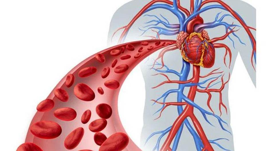 علت نمایان شدن رگهای بدن [از احتمال خطر مرگ تا بهبود ساده]