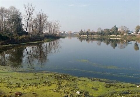 نقش تالاب‌ها در حفظ اکوسیستم/ هشدار کارشناسان برای انقراض گونه‌ها