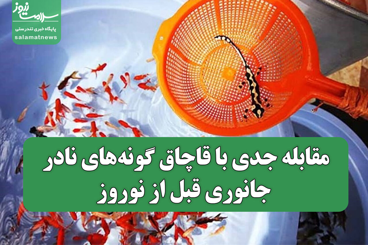 مقابله جدی با قاچاق گونه‌های نادر جانوری قبل از نوروز