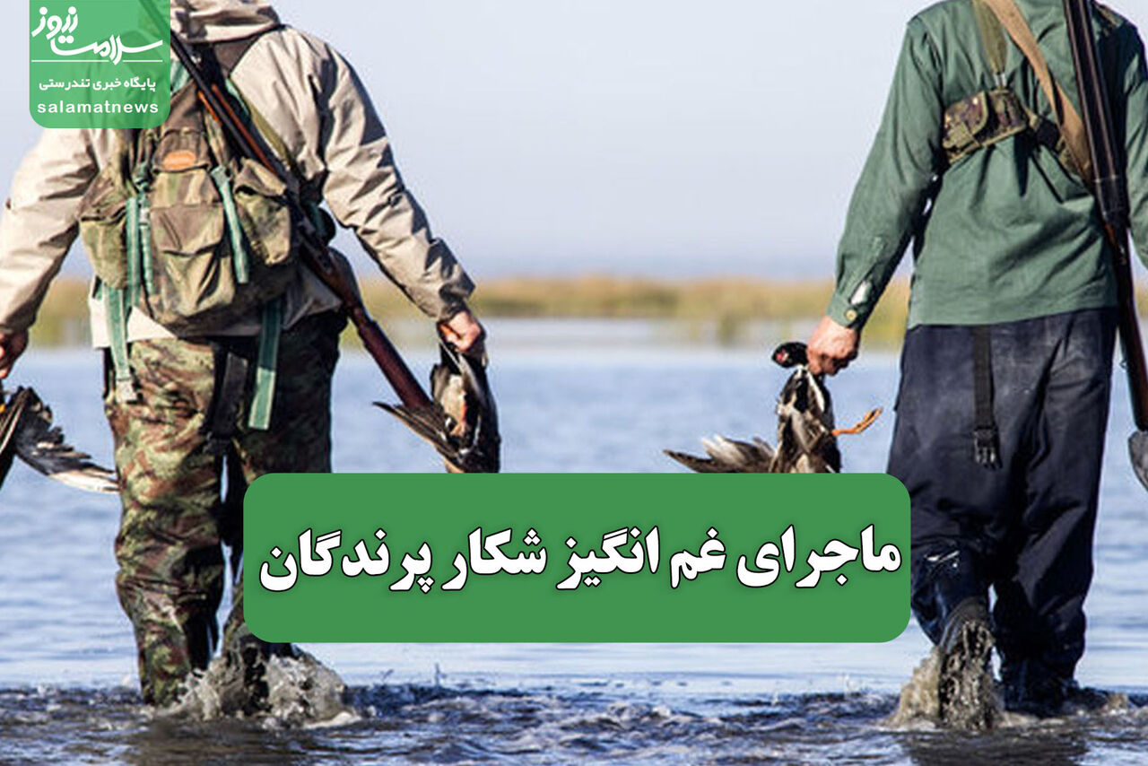 ماجرای غم انگیز شکار پرندگان  ماجرای غم انگیز شکار پرندگان