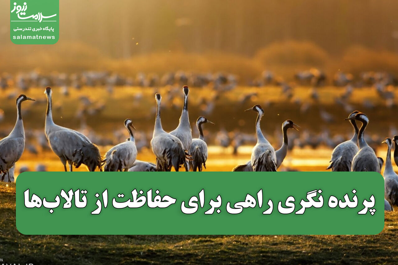 پرنده نگری راهی برای حفاظت از تالاب‌ها