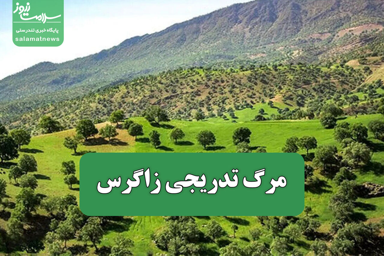 مرگ تدریجی زاگرس مرگ تدریجی زاگرس