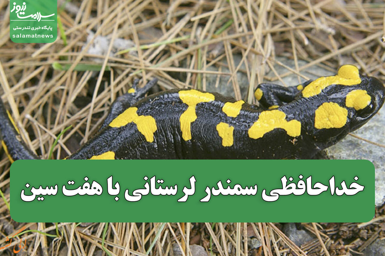 خداحافظی سمندر لرستانی با هفت سین