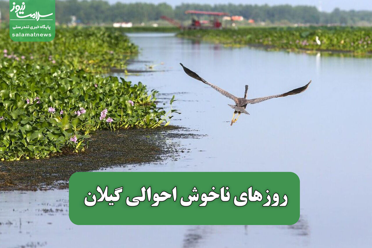 روزهای ناخوش احوالی گیلان