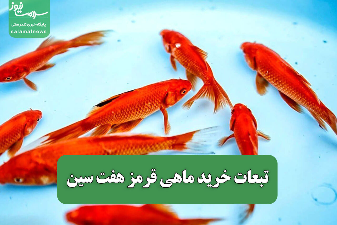 تبعات خرید ماهی قرمز هفت سین تبعات خرید ماهی قرمز هفت سین