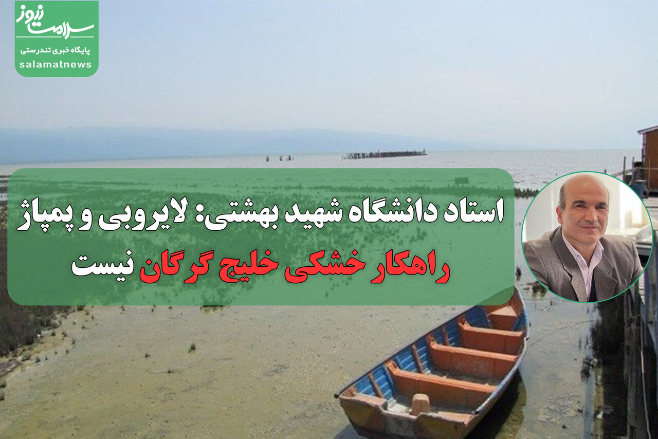 استاد دانشگاه شهید بهشتی: لایروبی و پمپاژ  راهکار خشکی خلیج گرگان نیست استاد دانشگاه شهید بهشتی: لایروبی و پمپاژ  راهکار خشکی خلیج گرگان نیست