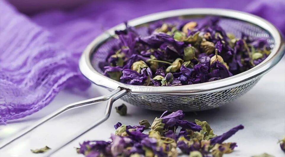 خواص شگفتانگیز پنیرک؛ گیاه دارویی با قدمت هزار ساله خواص شگفتانگیز پنیرک؛ گیاه دارویی با قدمت هزار ساله