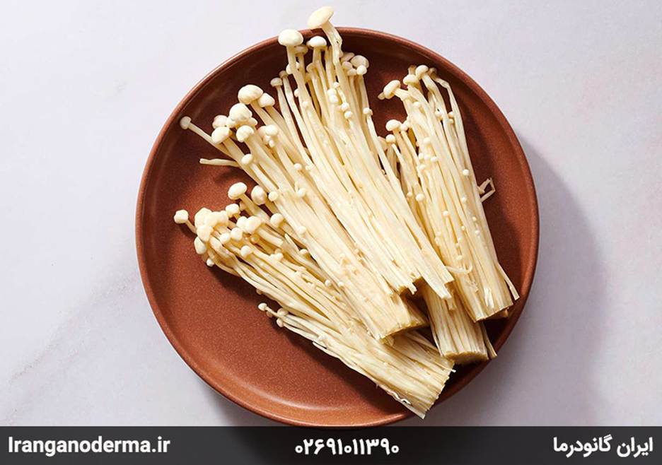 معرفی قارچ های دارویی و خواص آن ها برای بدن