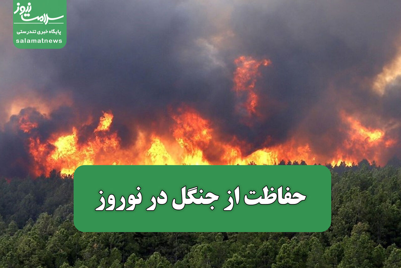 حفاظت از جنگل در نوروز حفاظت از جنگل در نوروز