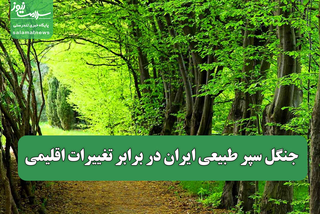 جنگل سپر طبیعی ایران در برابر تغییرات اقلیمی