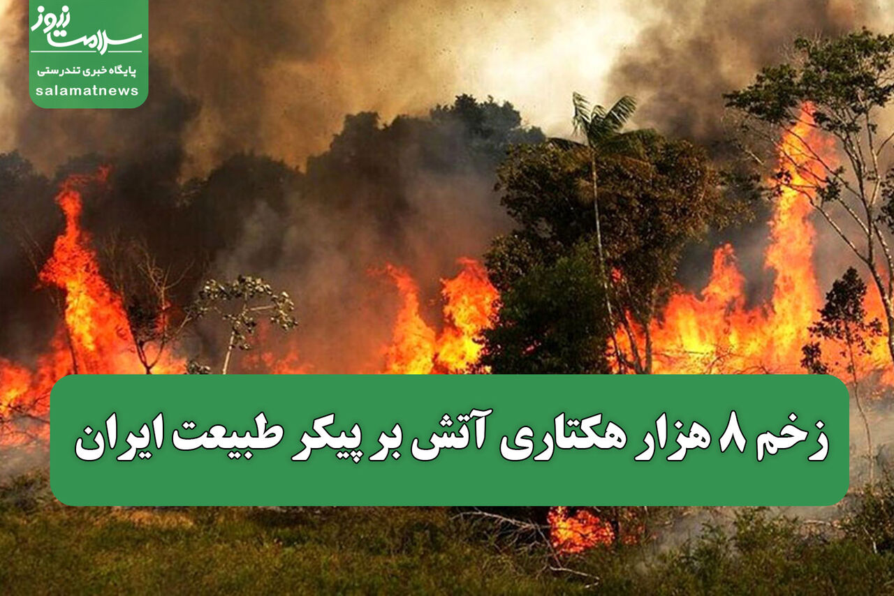 زخم ۸ هزار هکتاری آتش بر پیکر طبیعت ایران زخم ۸ هزار هکتاری آتش بر پیکر طبیعت ایران