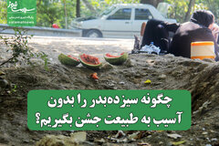چگونه سیزده‌بدر را بدون آسیب به طبیعت جشن بگیریم؟