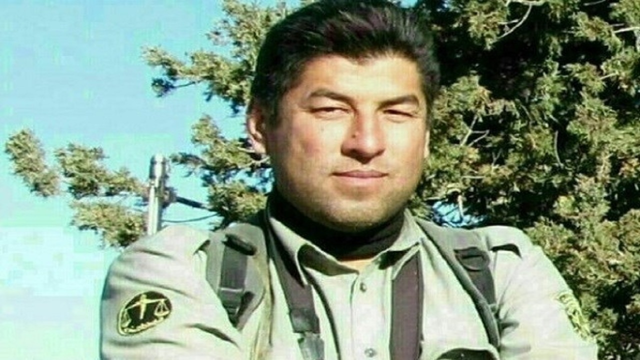 درختان پارک ملی گلستان را با رای اجرای احکام گالیکش سربریدند